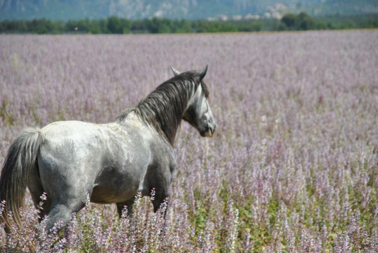 La Rabasse De Gallinette Aups Exterior foto